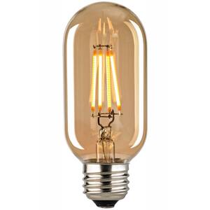Filament Medium LED Bulb With Light Gold Tint