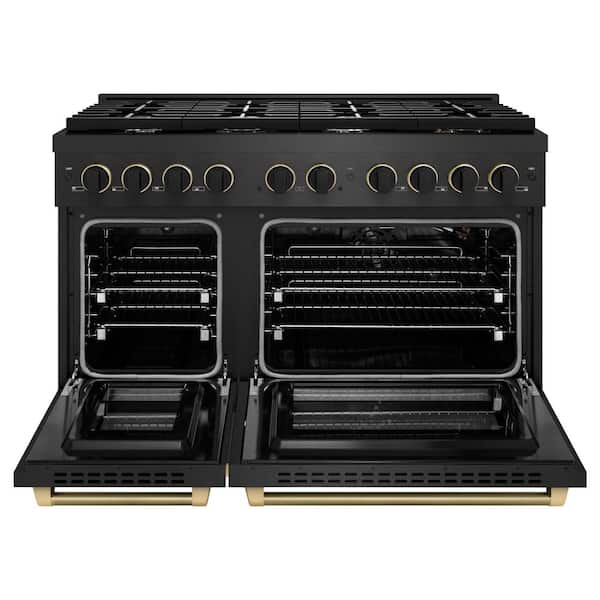 Designer 48 in. 6.7 cu. ft. Double Oven Gas Range with 8 Burner Cooktop in Black Satin with Black and Champagne Accents