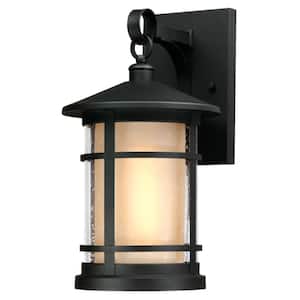 Albright Textured Black 1-Light Outdoor Wall Lantern Sconce
