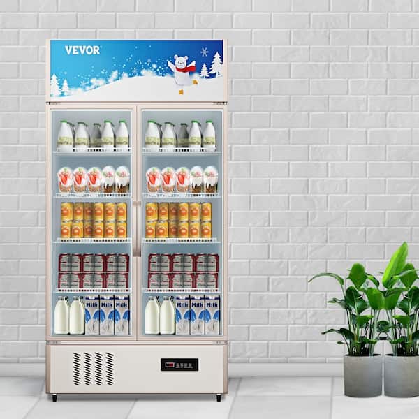 Commercial Refrigerator Capacity 23 cu.ft. Glass Door Display Fridge Upright Beverage Cooler with LED Light, Silver