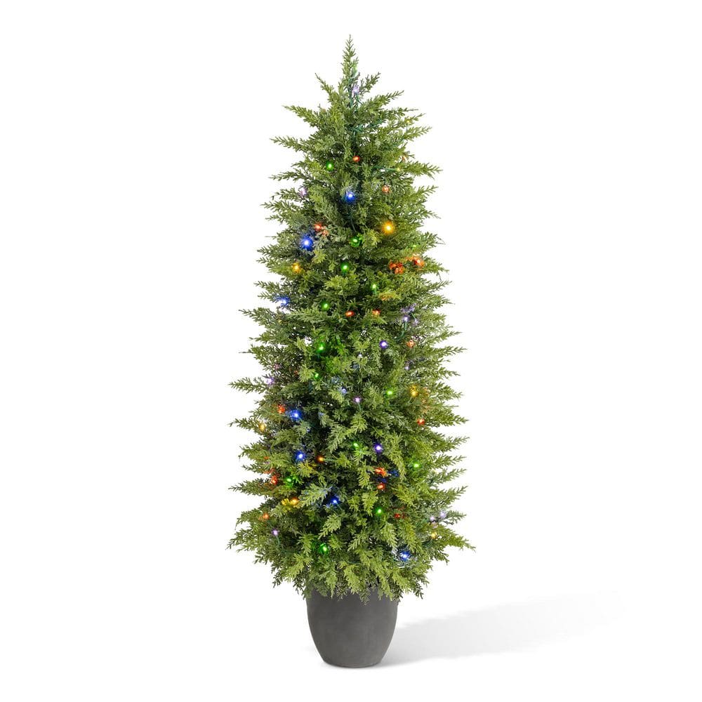 4 ft. Pre-Lit Christmas Artificial Cedar Porch Tree with 100 Lights price history on PriceWatchPro