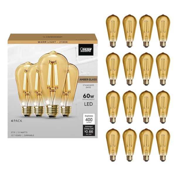 60-Watt Equivalent ST19 Dimmable Straight Filament Amber Glass E26 Vintage Edison LED Light Bulb, Warm White (16-Pack)