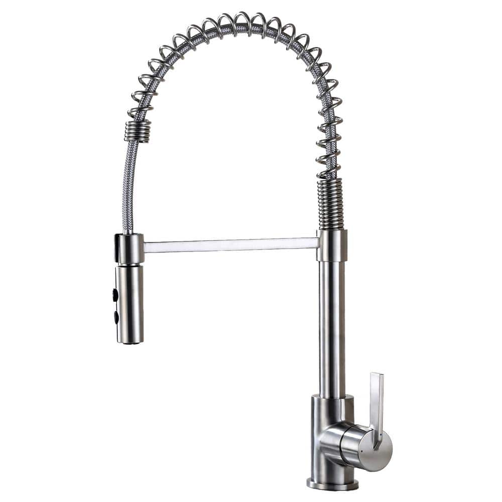 LUXIER Single-Handle Pull-Down Sprayer Kitchen Faucet with 2