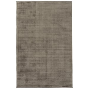 Shiny Earthtone 4 ft. x 6 ft. Solid Color Area Rug