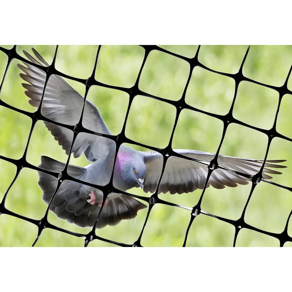 Bird B Gone, Bird Net 2000, 3/4 in. Heavy Duty Polyethylene Bird Netting, 50 ft x 75 ft, Black