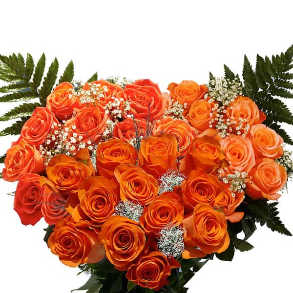 3 Fresh Roses Three Dozen Roses Flower