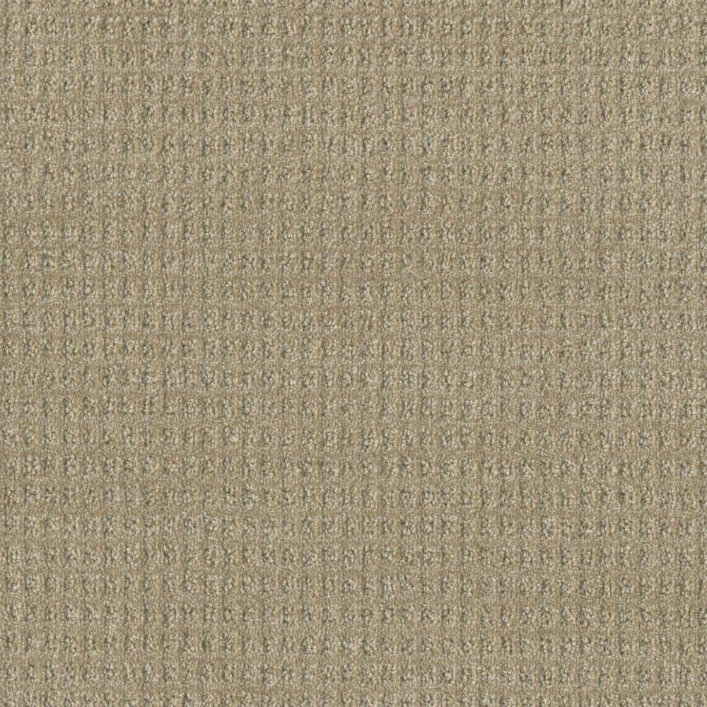 8 in. x 8 in. Pattern Carpet Sample - Amaryllis - Color Stargazer price history on PriceWatchPro