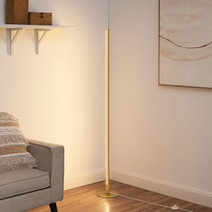 57.5 in. Gold RGBW LED Dimmable Standing Floor Lamp for Living Room with Smart App and Remote Control