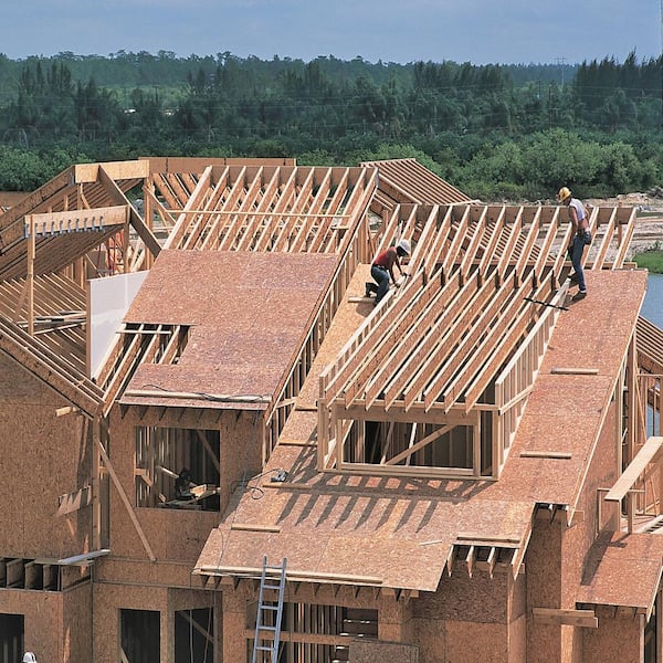 23/32 in. x 4 ft. x 8 ft. CCX Ground Contact Pressure-Treated Pine Plywood