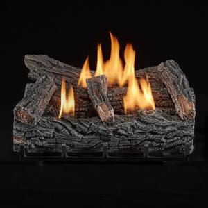 22 in. W Vent-Free Propane Gas Fireplace Log Set - Winter Oak, 32,000 BTU, Thermostat Control
