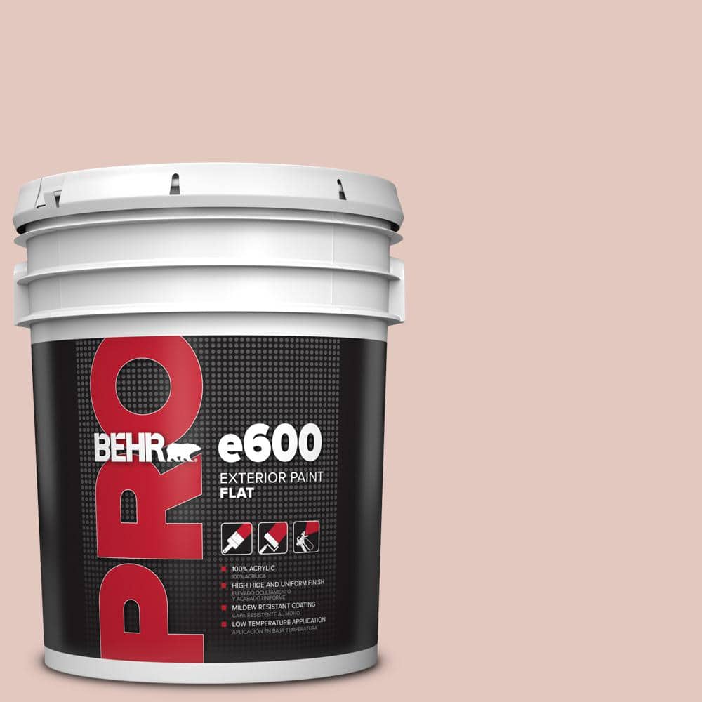 5 gal. #S170-2 Rosewater Flat Exterior Paint price history on PriceWatchPro