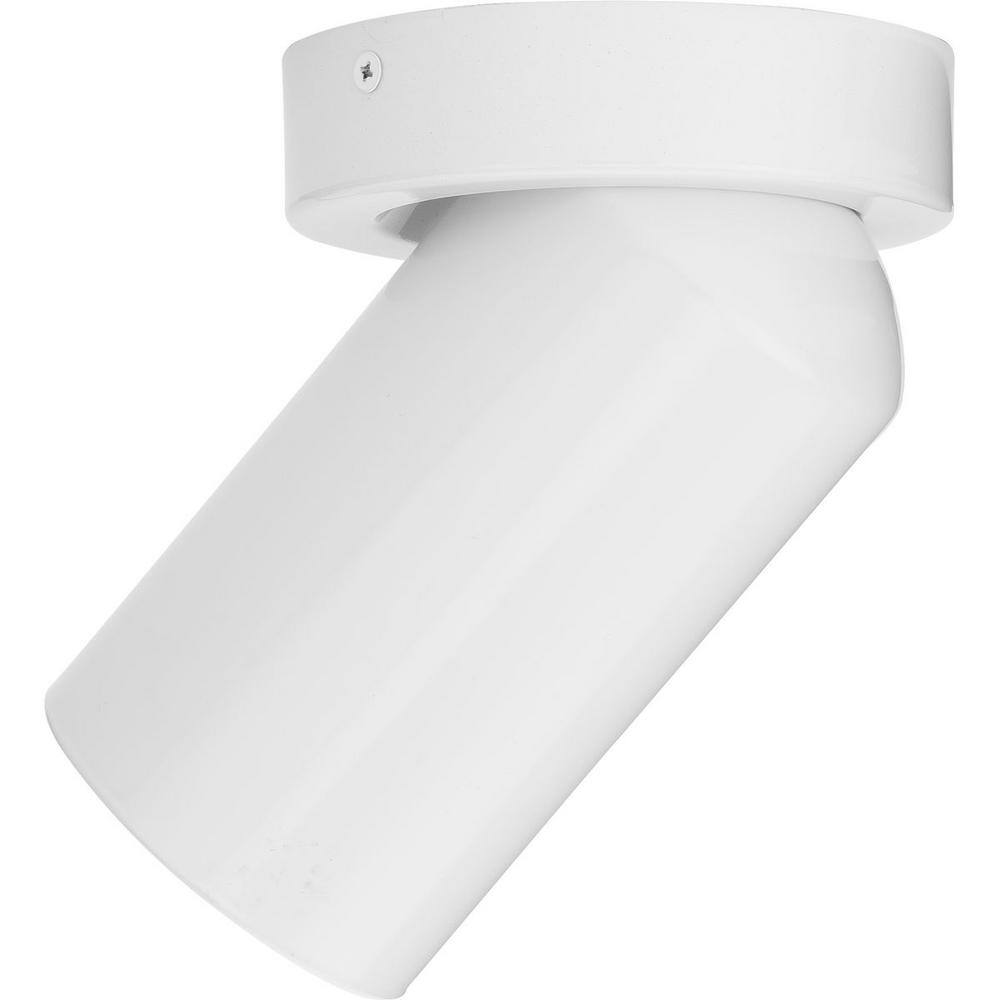 White Aluminum Adjustable Surface Mount Cylinder Light