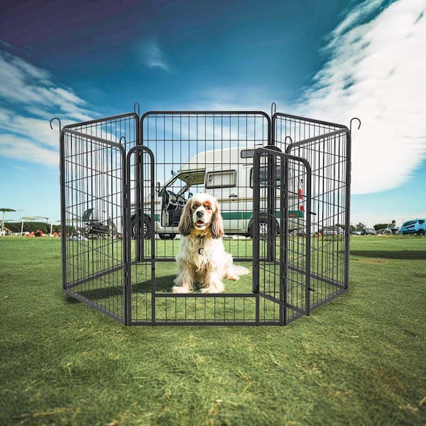 Unbranded 6 Panels Metal Indoor/Outdoor Pet Fence Playpen Kit Heavy Duty Pet Dog Fence Playground (31.7 in. H x 27.4 in. W)