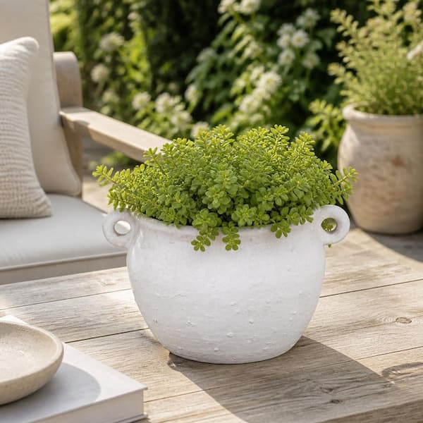 White Ceramic Textured Surface Planter with Dual Side Handles (10 in. W x 6 in. H)