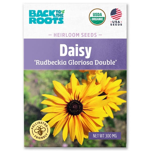 Back to the Roots Organic Daisy 'Rudbeckia Gloriosa Double' Gardening Seeds