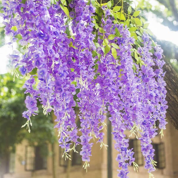 Indoor/Outdoor 43 in. Purple Artificial Other Wisteria Vine Individual  Flower Stems (Set of 24) TG-5556-26 - The Home Depot