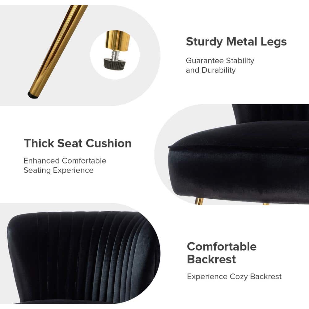 Monica Black Velvet Side Chair with Polished Gold Legs