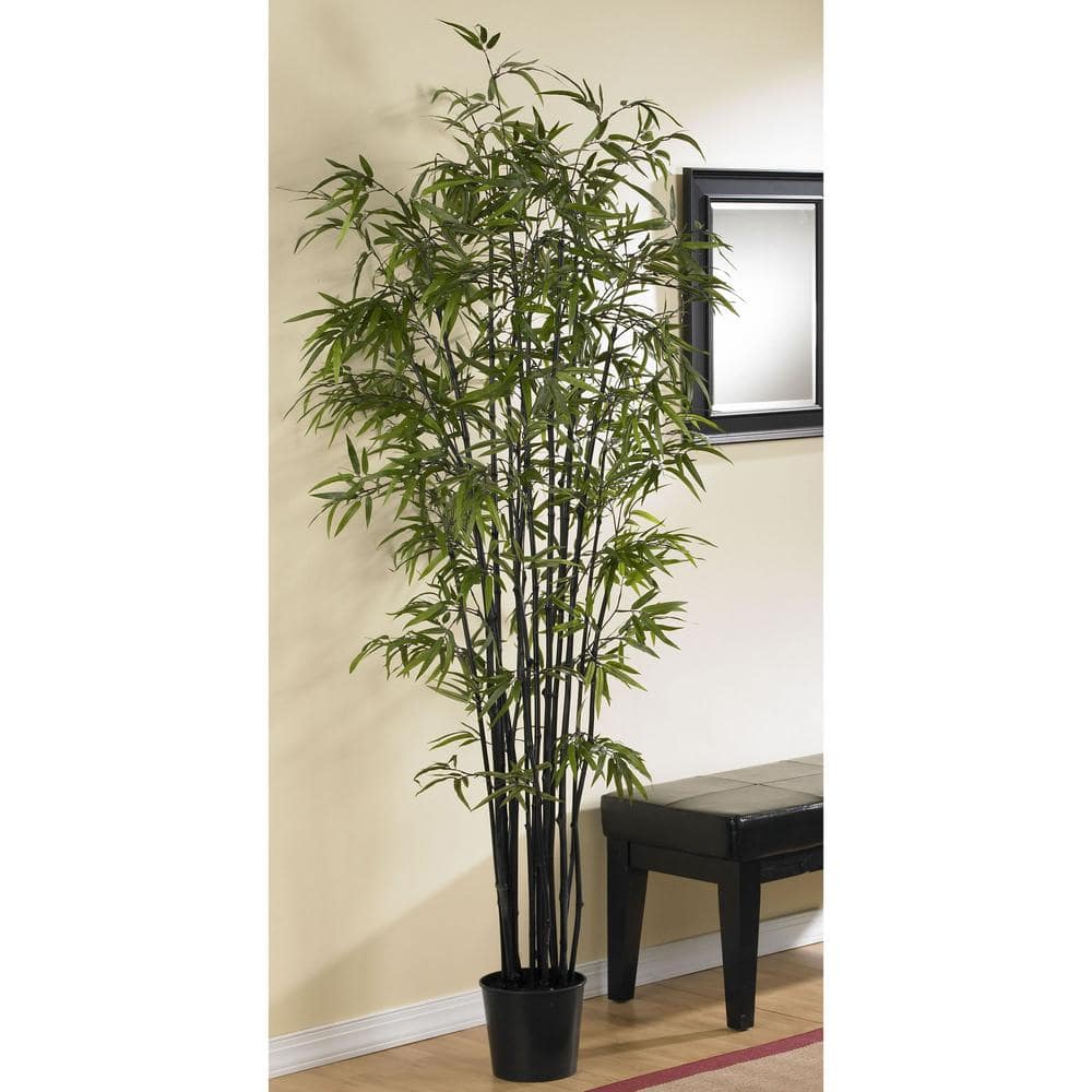 6.5 ft Black Bamboo Silk Tree in Plastic Pot