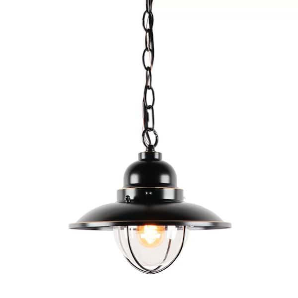 Unbranded James 9.25 in. 1 Light Black Dimmable Outdoor Pendant Light with Clear Glass and Incandescent