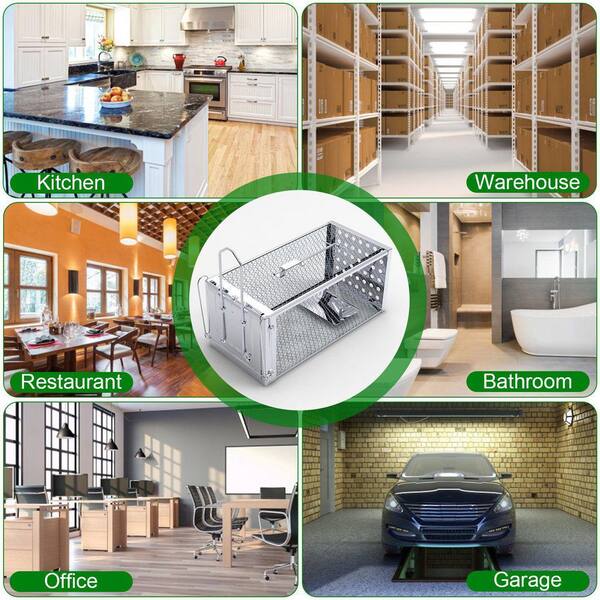 High Sensitivity Rat Trap Cage-Stainless Steel Construction