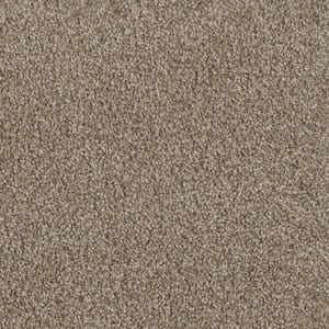 Affectionate II - Outgoing - Beige 55 oz. SD Polyester Texture Installed Carpet