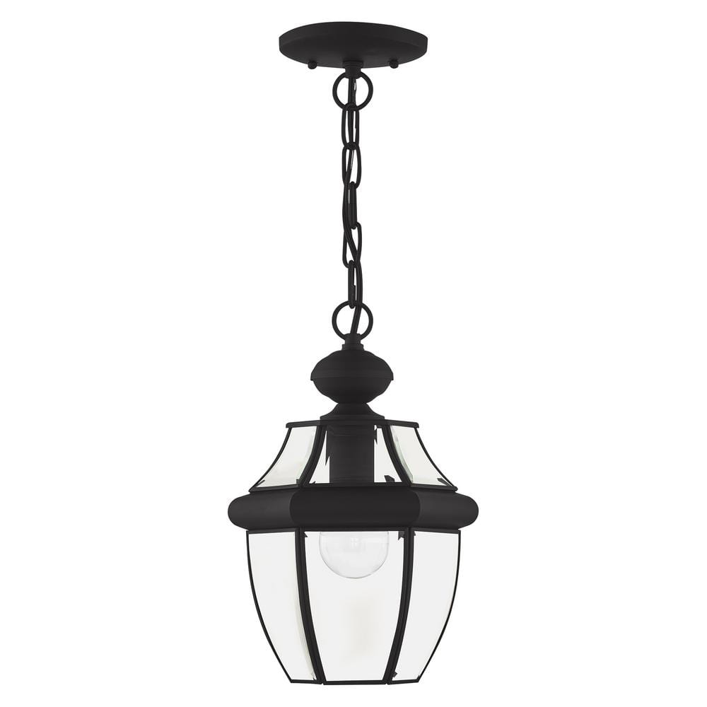 Black Glass 1-Light Indoor/Outdoor Pendant Lantern