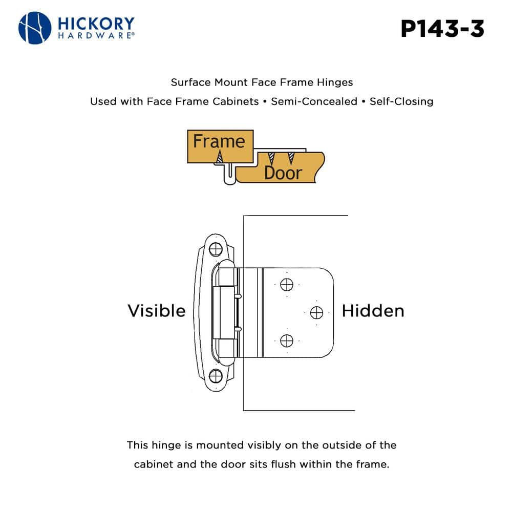 Polished Brass Self-Closing Cabinet Hinges with Screws