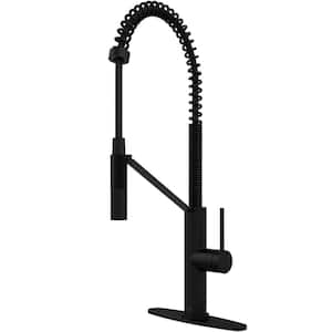 Livingston Single Handle Pull-Down Sprayer Kitchen Faucet Set with Deck Plate in Matte Black