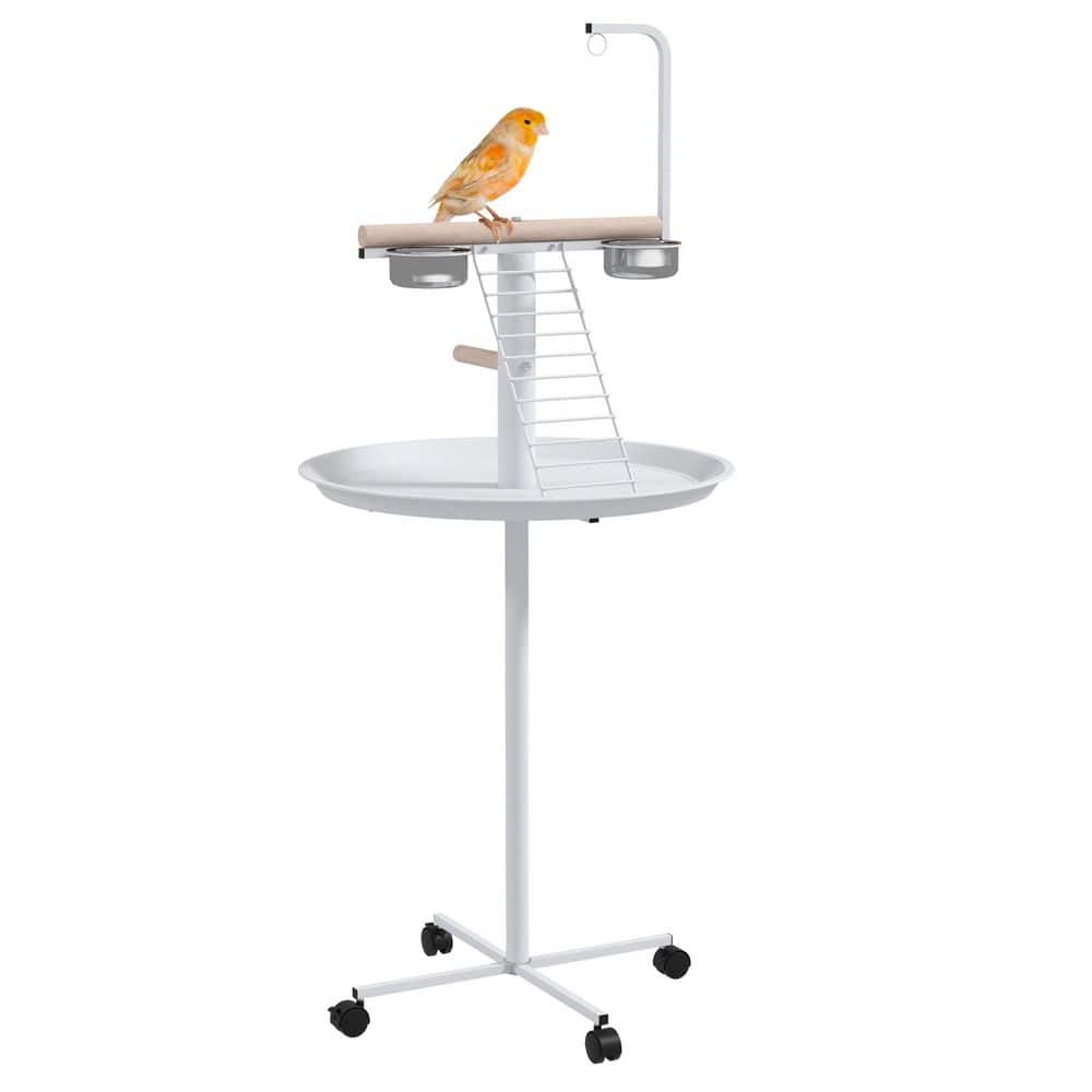 Picture of Siavonce Bird Stand, Parrot Stand with Wheels, Perches, Stainless Steel ...