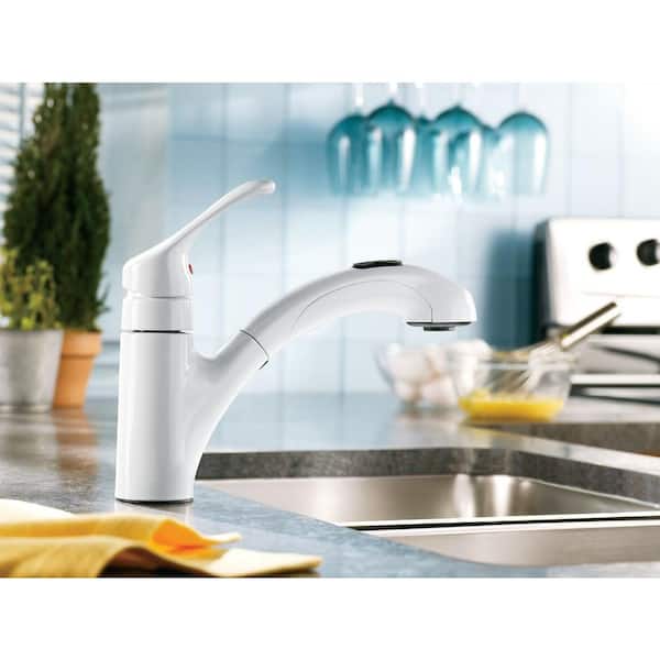 Moen Renzo Single Handle Pull Out