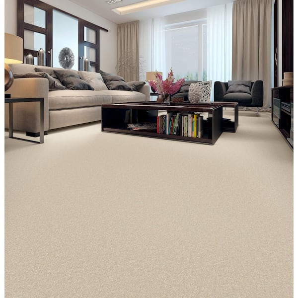 Park Royal-Color Craft Paper Beige 52 oz. Nylon Texture Installed Carpet