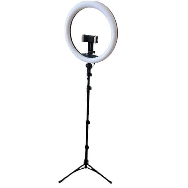 Foldable 14 in. Ring Light with 67 in. Tall Tripod for Phone Video Recording Live Streaming Makeup and More