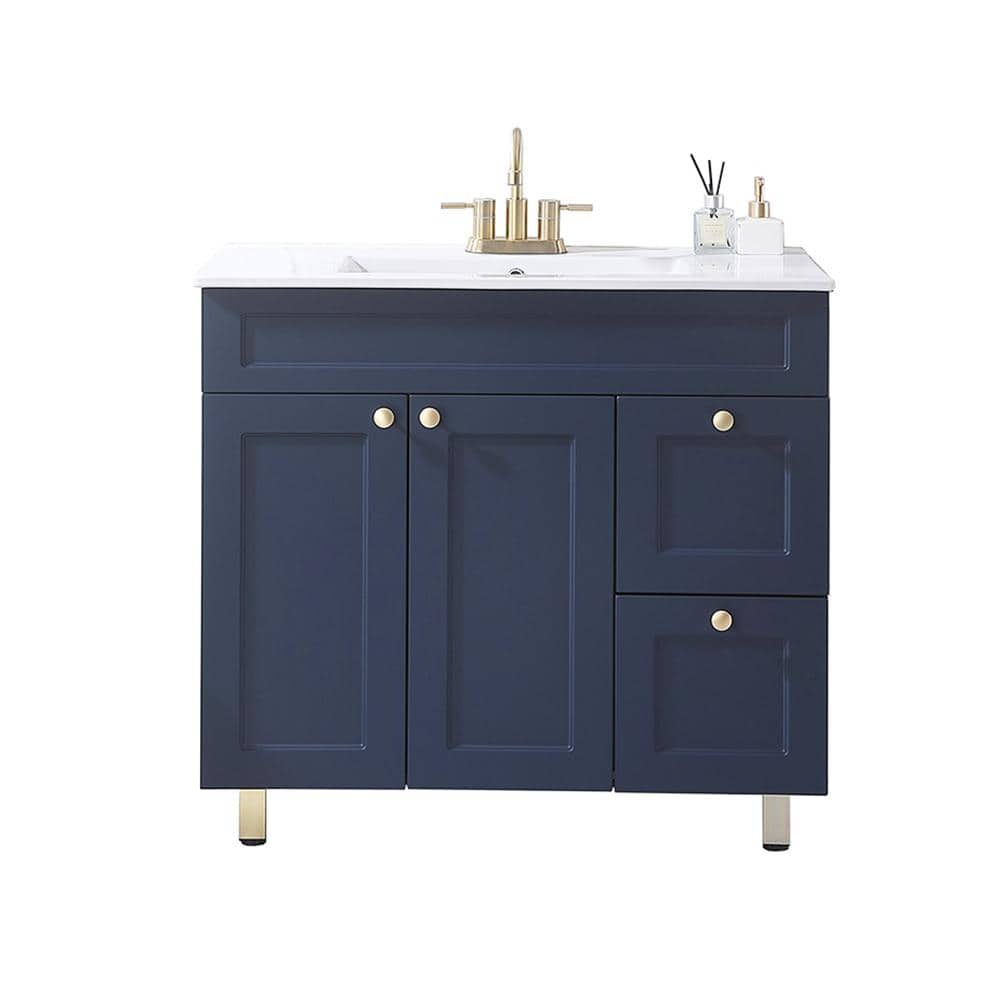 VAPSINT 36 in. W x 18 in. D x 33 in. H Single Bath Vanity in Deep