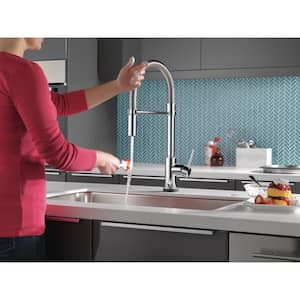 Trinsic Pro Single-Handle Pull-Down Sprayer Kitchen Faucet with Touch2O Technology and Spring Spout in Chrome