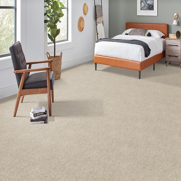 Denfort - Fleece - Beige 70 oz. Triexta Texture Installed Carpet