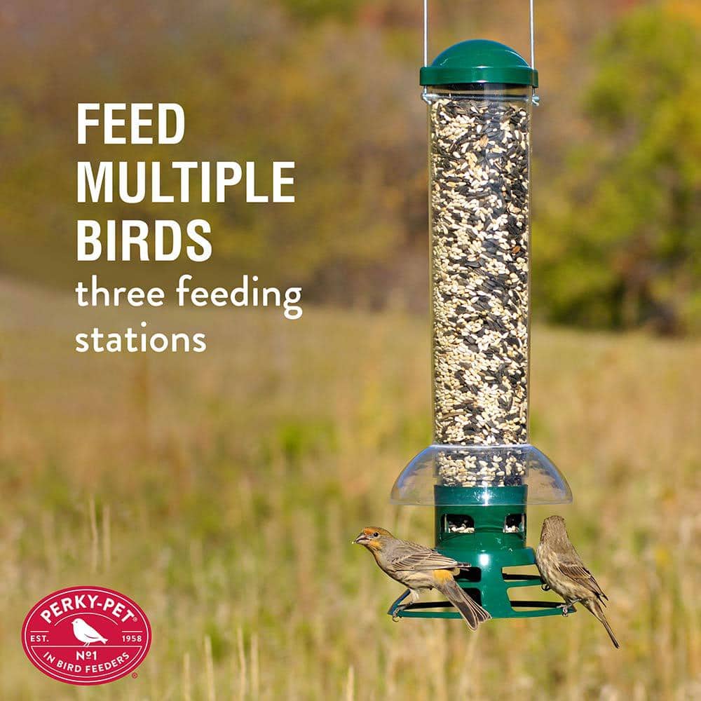 Green and Clear Squirrel Resistant Hanging Tube Bird Feeder