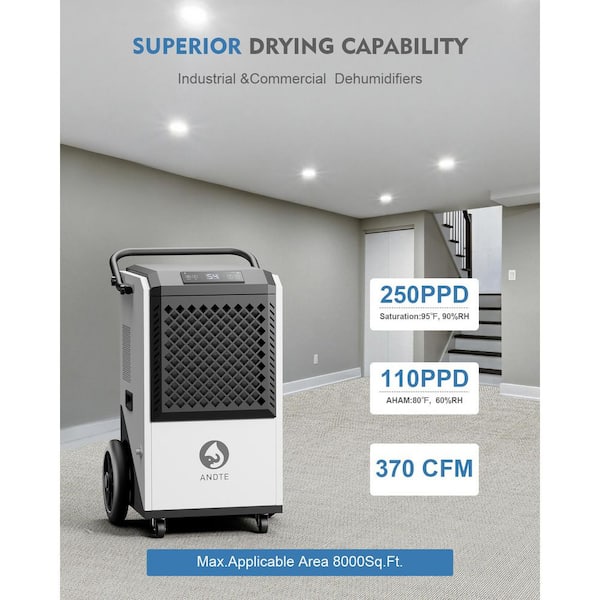 250 pt. 8,000 sq.ft. Commercial Dehumidifier for Basement in White, High Efficiency Compressor