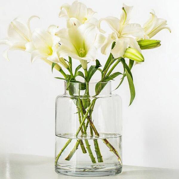 9 Inch Large Clear Glass Vase, Glasses Home Decor Modern Jarrones