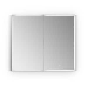 Carsoli 36 in. W x 32 in. H Small Rectangular Silver Recessed/Surface Mount Medicine Cabinet with Mirror and Lighting