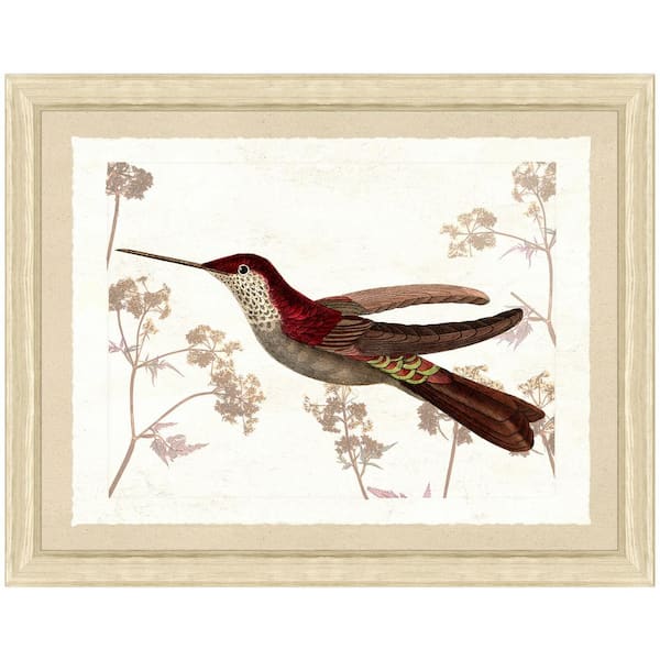 Vintage Print Gallery 20 in. x 24 in. Hummingbird Scene III Framed Archival Paper Wall Art