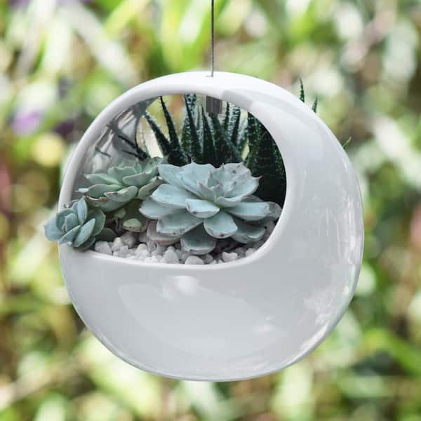 Arcadia Garden Products AP01GW Arcadia Air Planter, Basket Style, Glossy White
