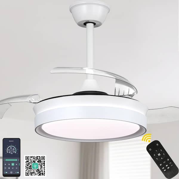 Bella Depot 36 in. Indoor White Retractable Ceiling Fan with LED Light and Remote, 6-Speed Reversible Ceiling Fans