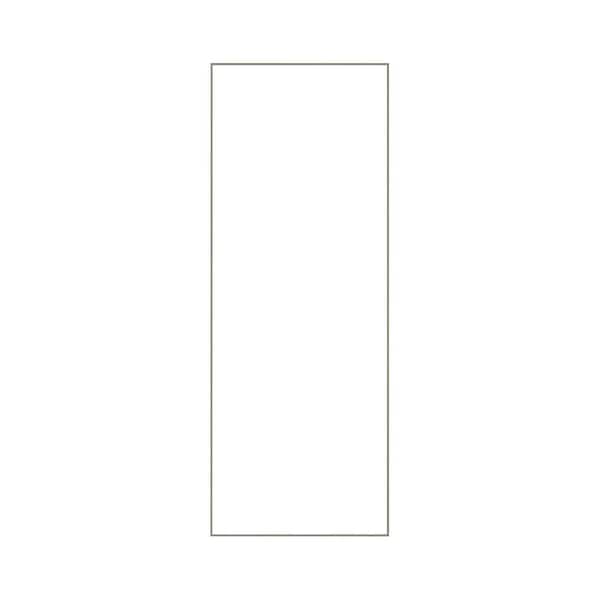 Unbranded 22 in. W x 65 in. H Rectangular Aluminum Framed Wall Mount or Floor Standing Modern Decorative Bathroom Vanity Mirror