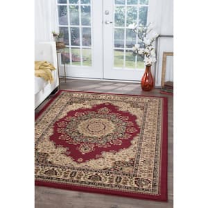 Sensation Red 8 ft. x 10 ft. Traditional Area Rug