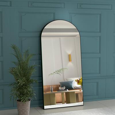 21.7 in. W x 65 in. H Full Length Mirror with Lights, Full Body Mirror Large Floor Mirror, Stand Up Dressing Mirror