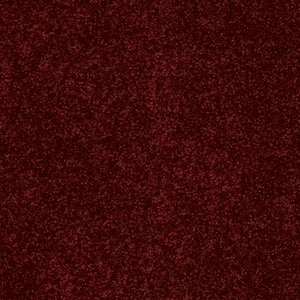 Palmdale I - Raspberry Tart - Red 17.6 oz. Polyester Texture Installed Carpet
