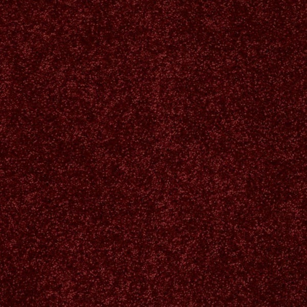 TrafficMaster Palmdale I - Raspberry Tart - Red 17.6 oz. Polyester Texture Installed Carpet