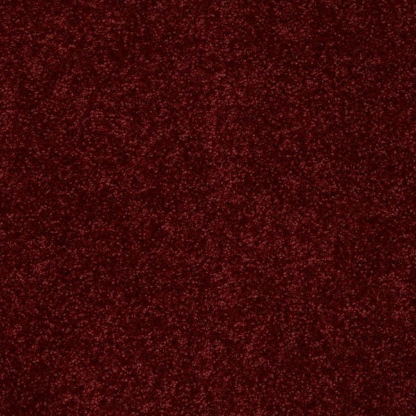 TrafficMaster Palmdale II - Raspberry Tart - Red 15 ft. 31.2 oz. Polyester Texture Carpet - Installation Required