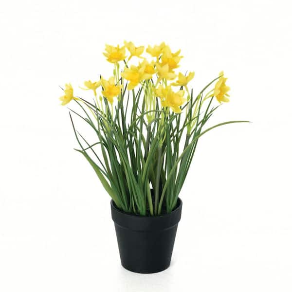 SULLIVANS 12 in. Yellow Indoor Artificial Daffodil Bush in Pot