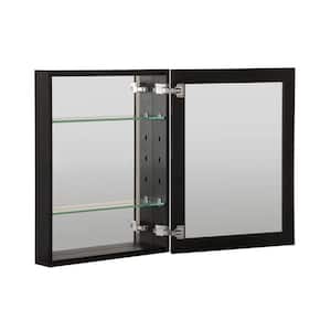 16 in. W x 20 in. H Black Glass Recessed/Surface Mount Rectangular Medicine Cabinet with Mirror